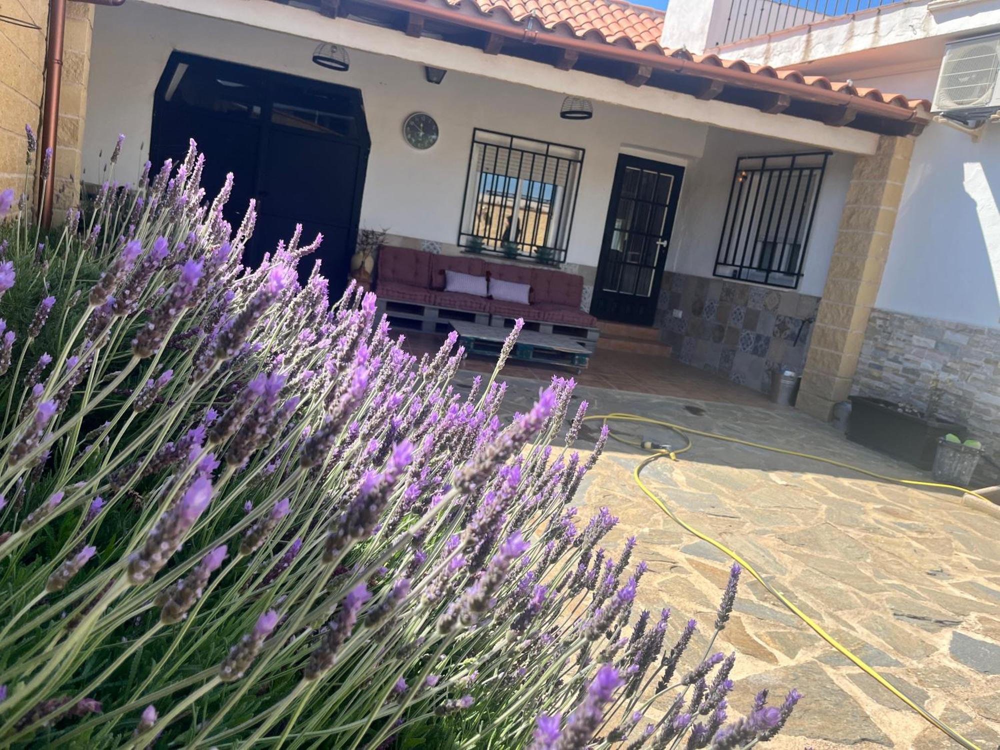 Casa Rural Valentina Almonacid de Toledo Bagian luar foto